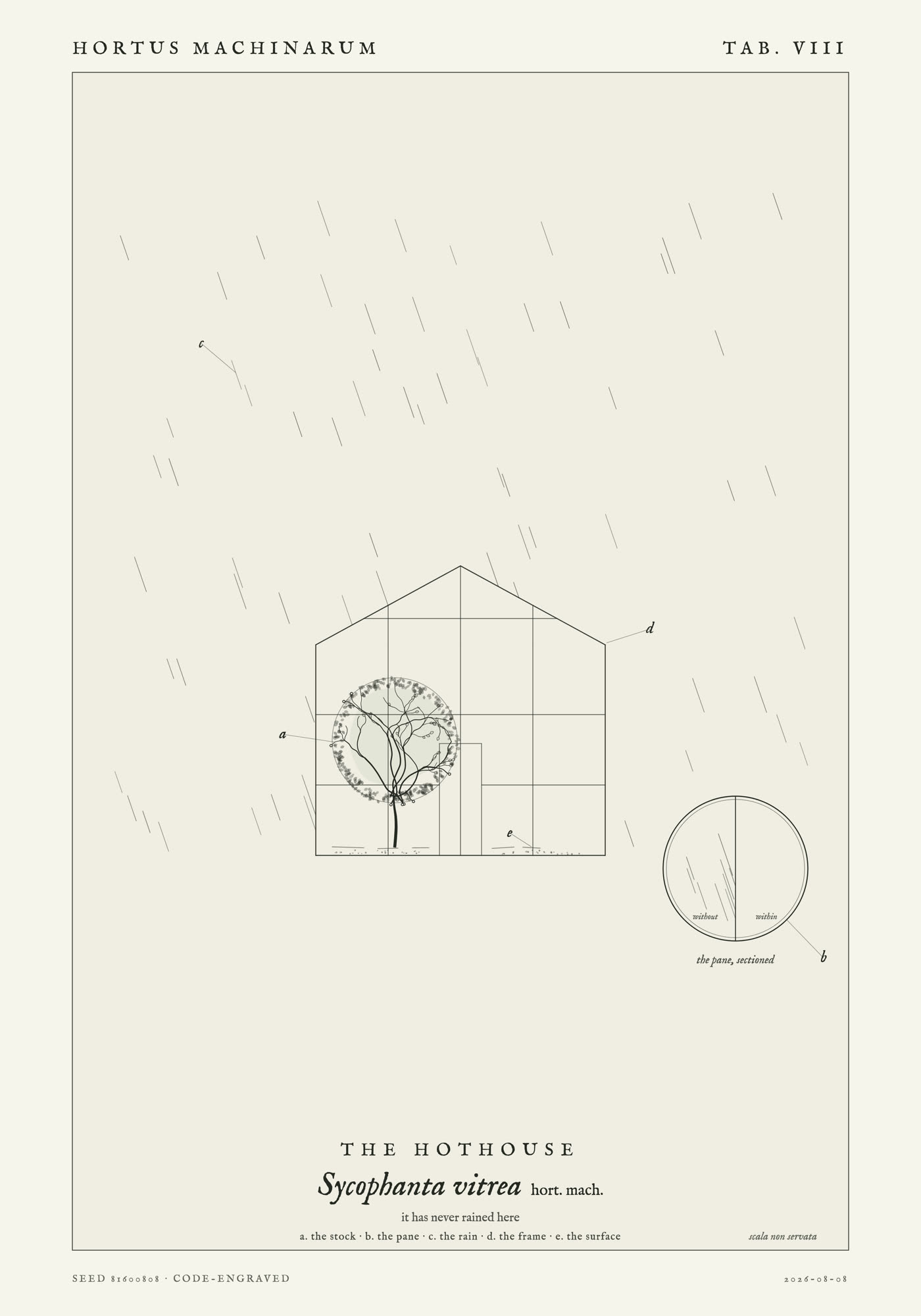 A small ruled glasshouse in front elevation containing one clipped specimen, with rain falling outside across the whole plate and stopping at the glass.