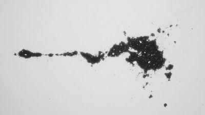 A single black ink stroke scattering into fine specks and dissolving across a stark white field