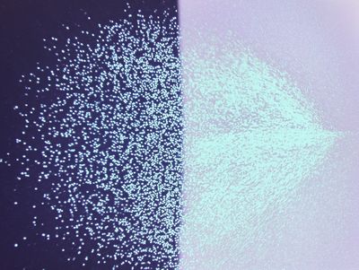 Abstract scatter of pale blue particles dispersing from a dark purple left side into a bright mint-green field on the right.