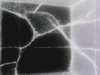 Abstract grainy black-and-white image of pale speckled lines forming irregular cell-like cracks across a dark surface.