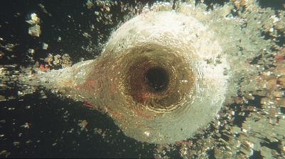 An enormous organic spiral structure resembling an eye, concentric golden-brown rings surrounding a perfectly dark central void, the entire form covered in crystalline data fragments that shatter outward at its edges against black space.